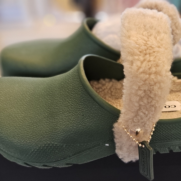 Shoes - Picture 2 of 7